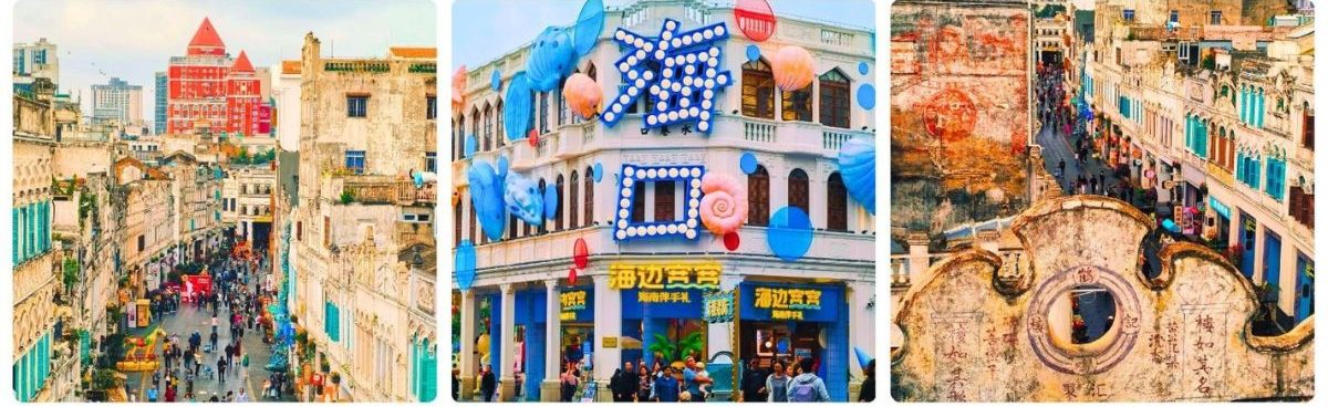 HCM - dao hai nam -5