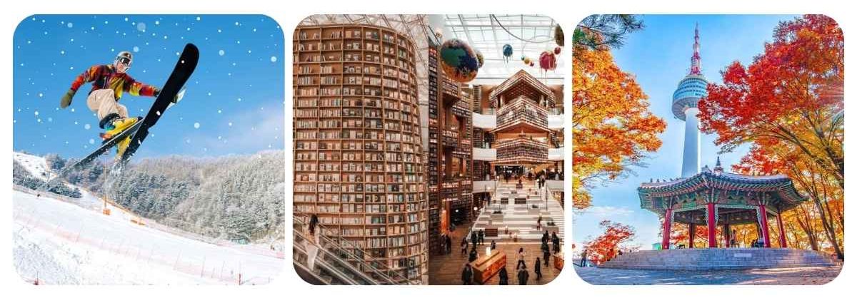 SEOUL – TRƯỢT TUYẾT - LOTTE WORLD - THÁP TRUYỀN HÌNH NAMSAN - THƯ VIỆN SÁCH STARFIELD