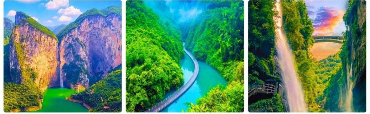 an thi-tuyen an-phuong hoang co tran- truong gia gioi -1