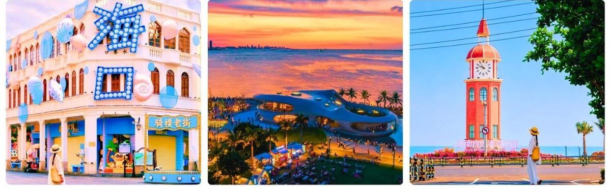 hcm-dao hai nam -1