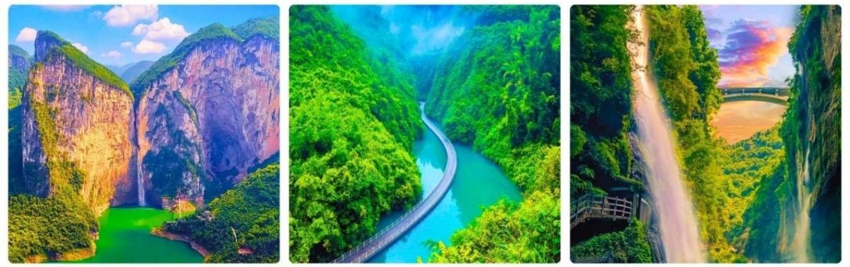 an thi - phuong hoang co tran - truong gia gioi-1 
